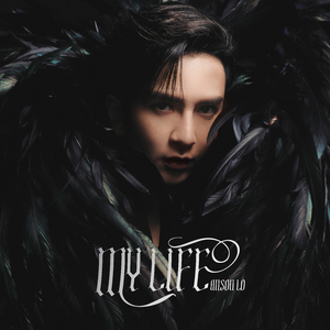 欧美🅰级毛片一夜
