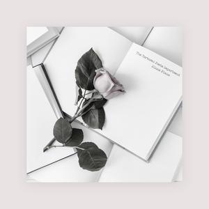 欧美🅰级毛片一夜
