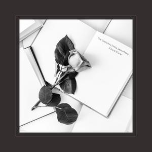 欧美🅰级毛片一夜
